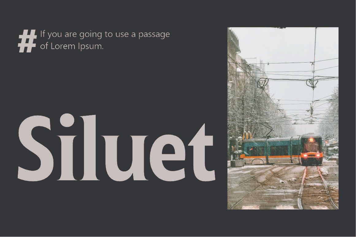 Ginfitanle — image 4