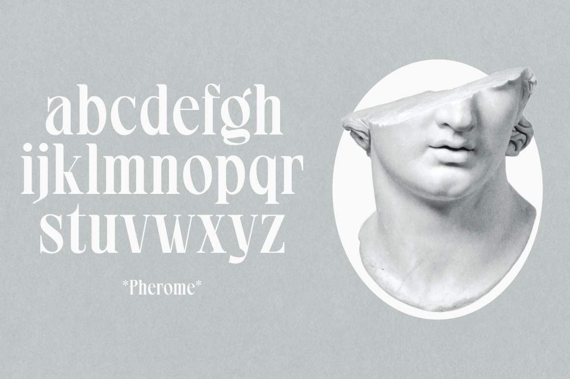 Pherome — image 4