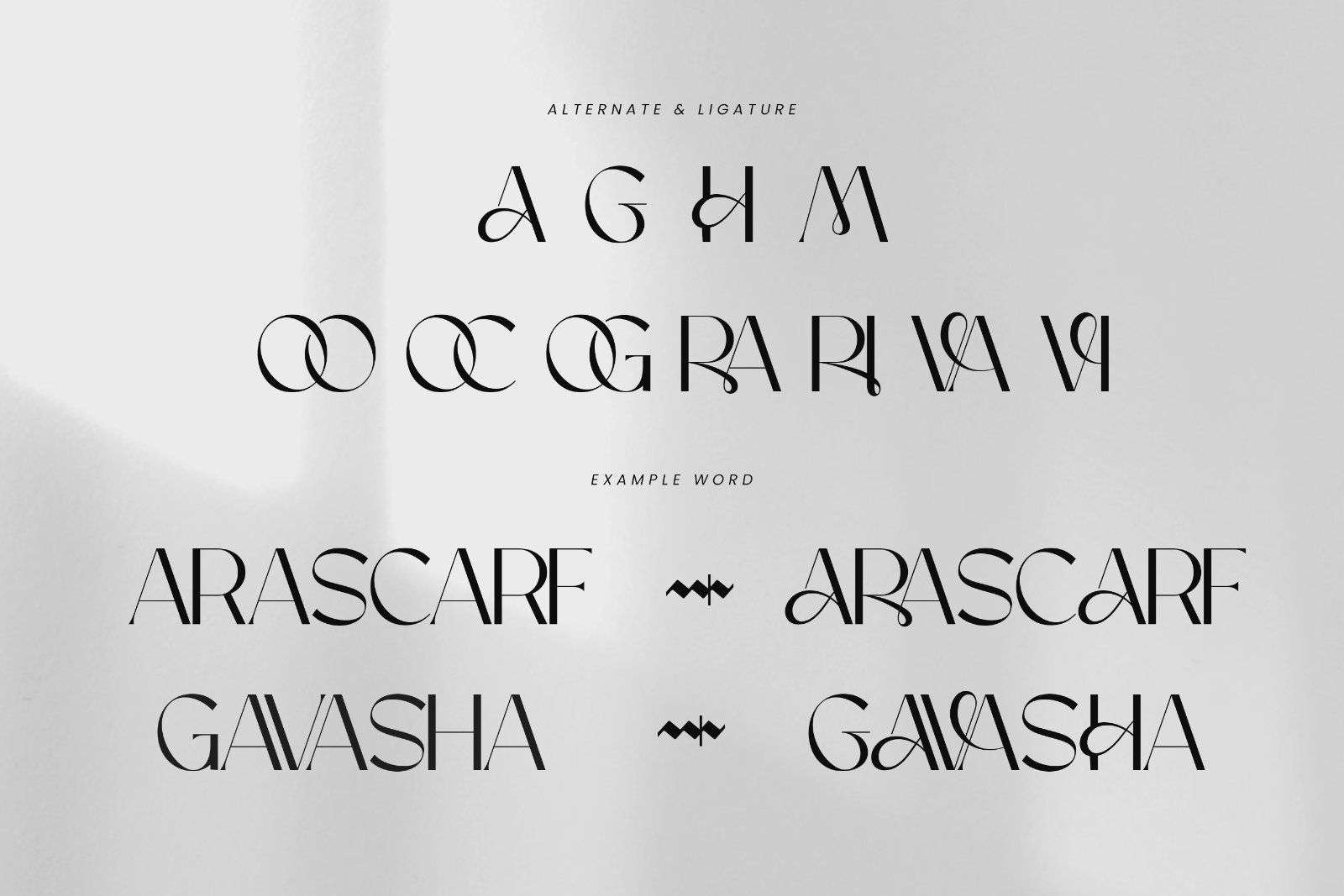 Maison Bright | Elegant Sans Serif Font — image 8