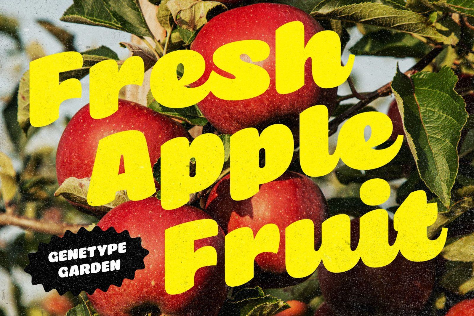 Briska – Soft Playful Script and Sans Font Duo — image 4