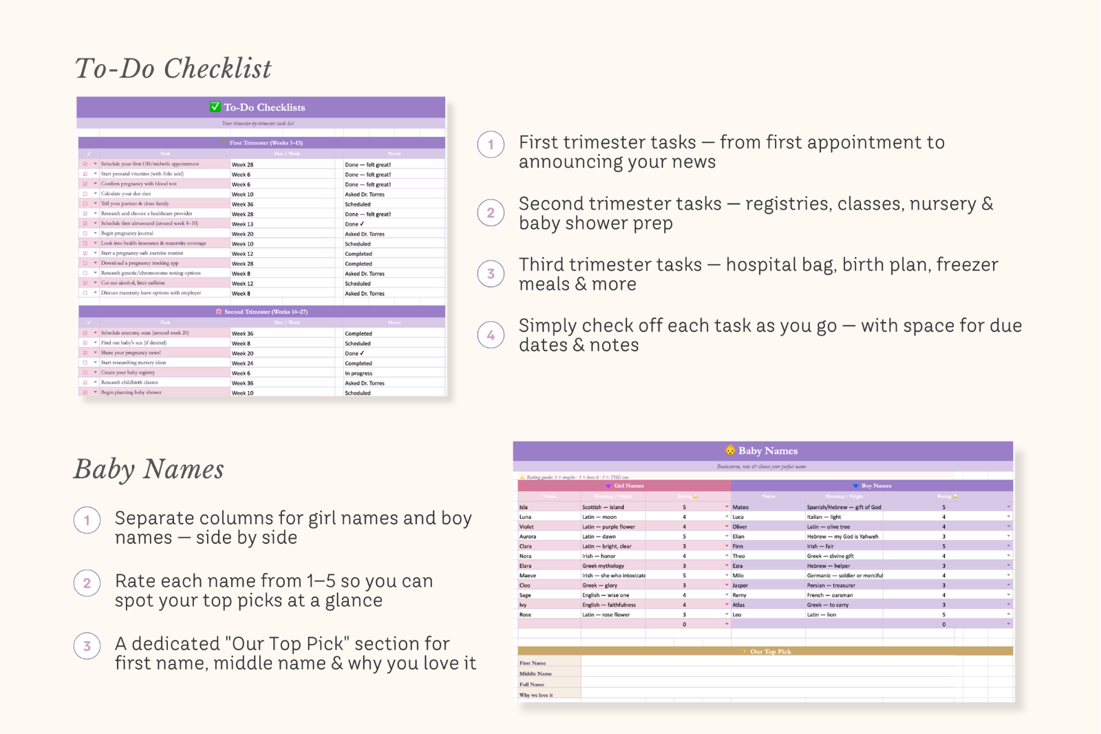 Pregnancy Planner Excel Spreadsheet — image 4