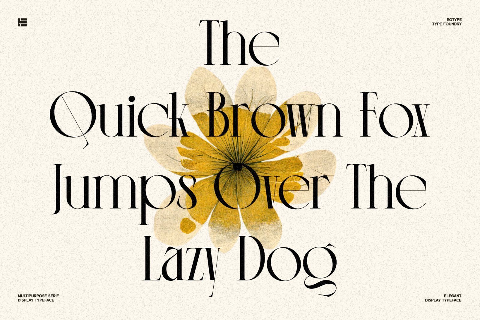 Monico Font — image 4