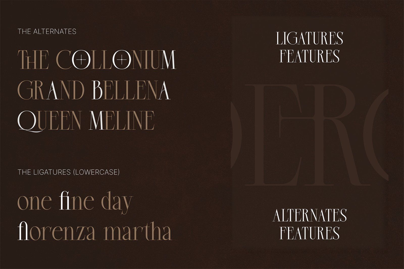 Moerca | Modern Classy Serif — image 9