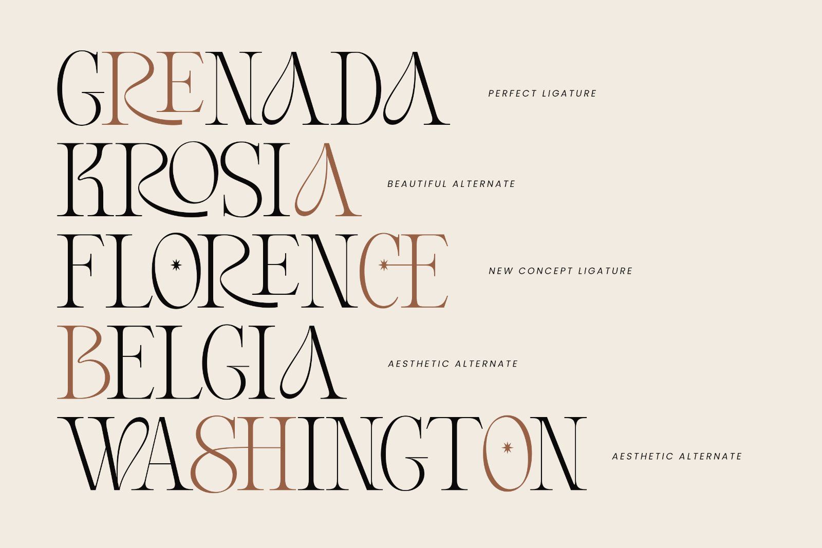 Dream Morish | A Modern Serif Font — image 3