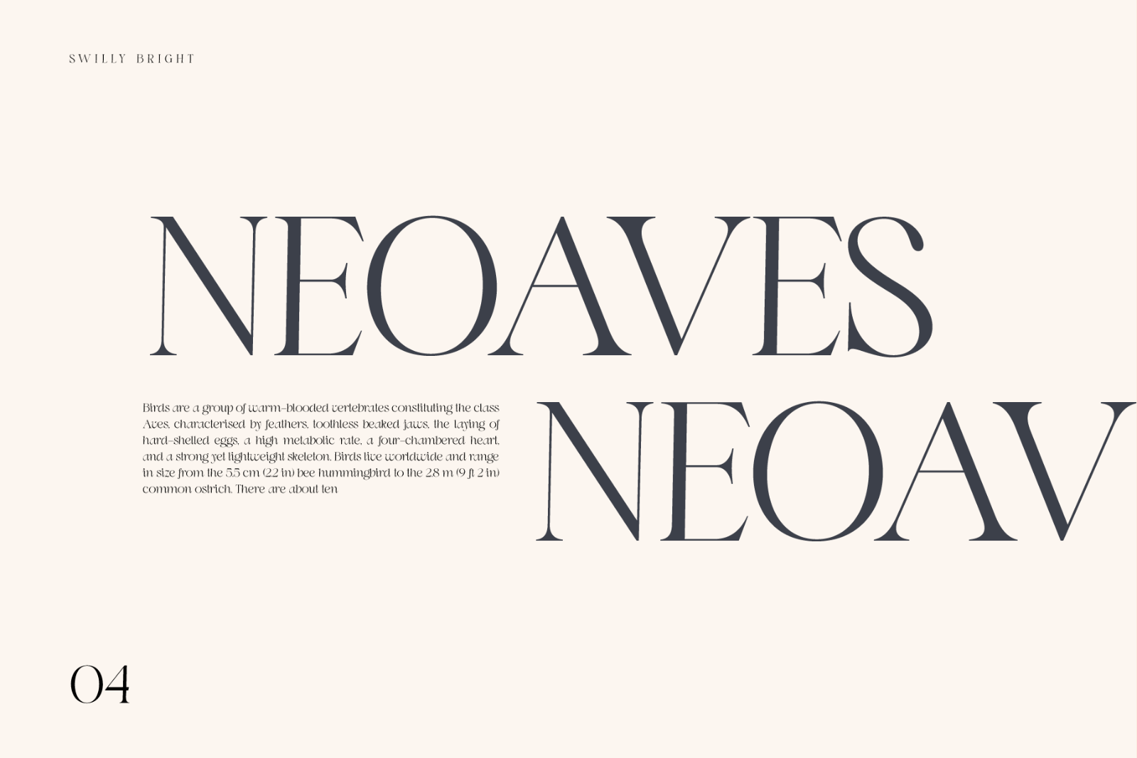 Swily Bright | Classy Font — image 5