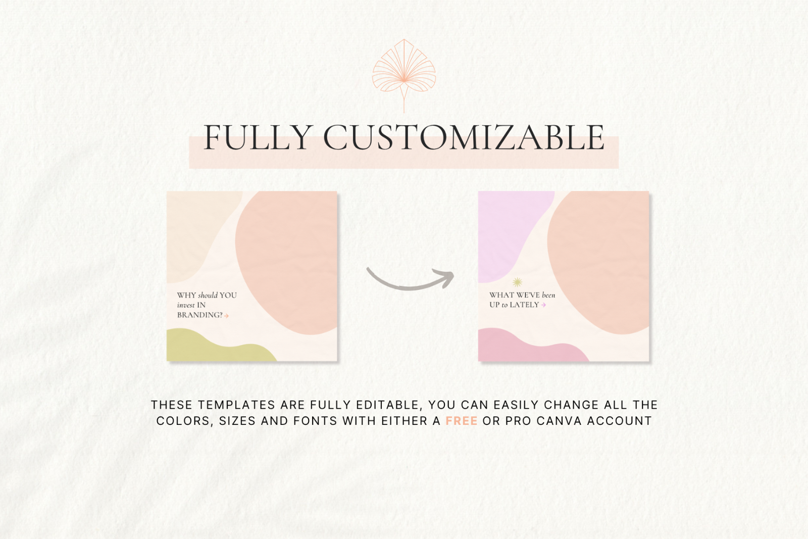 Social Media Canva Templates Bundle — image 4