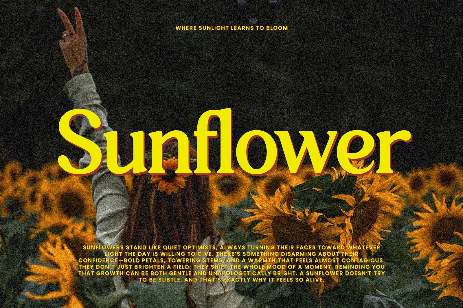 Wen Romun – Nostalgic Display Serif — image 4