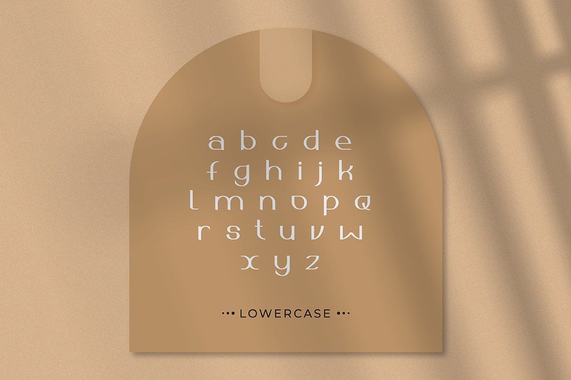 ASOKA — image 4