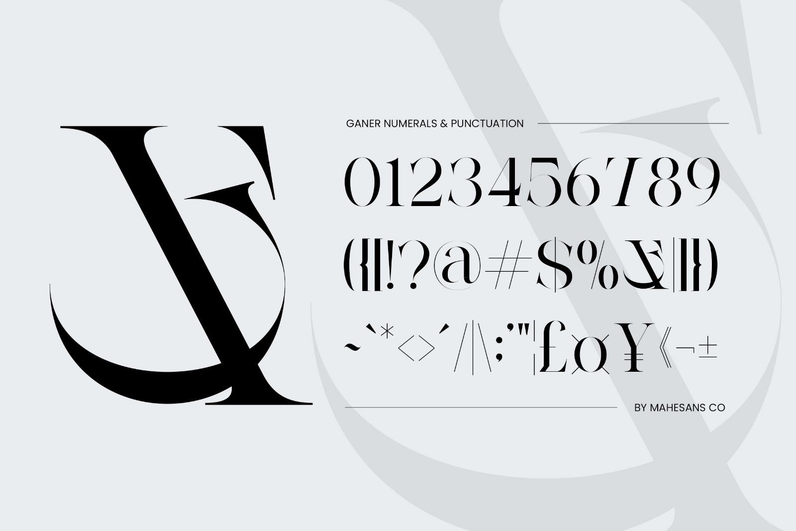 Ganer | Serif Display Font — image 4