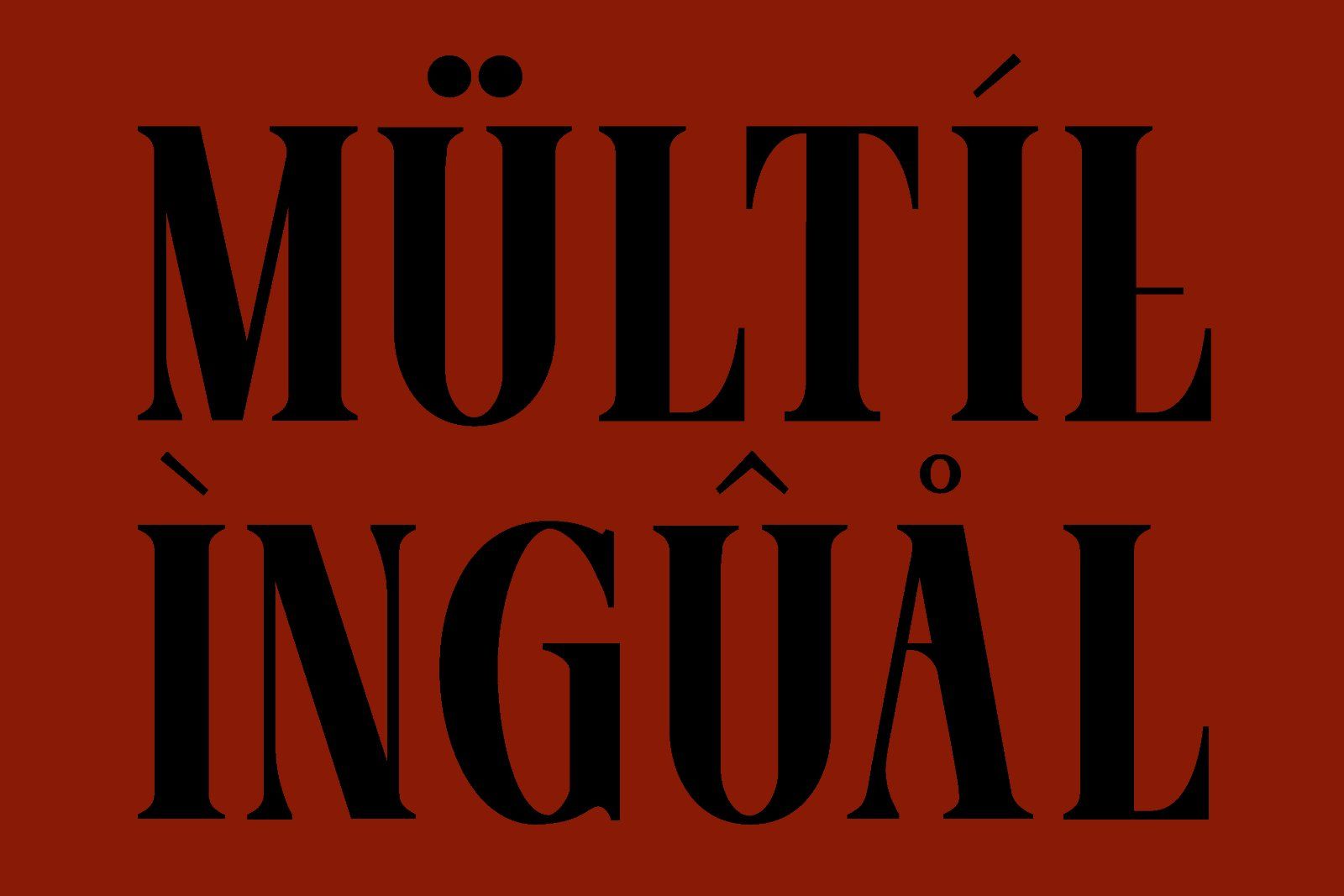 Taleron - Modern Serif — image 3