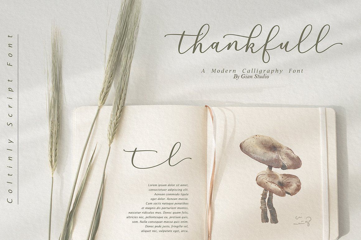Coltinly Script — image 4