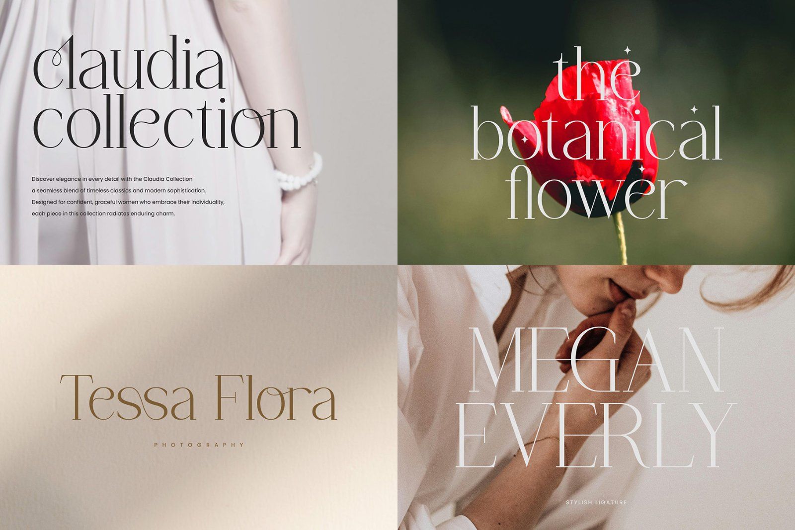 Modern Serif Font Bundle — image 14