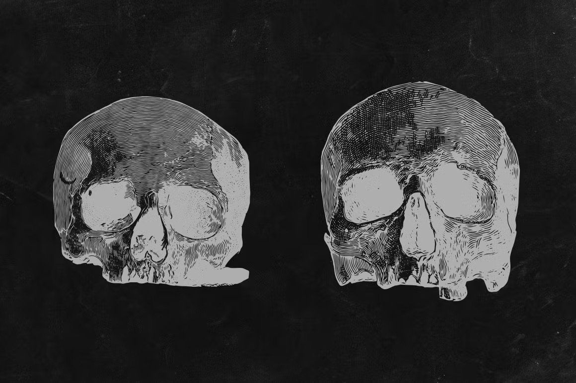 Engraved Skulls Illustrations — image 4