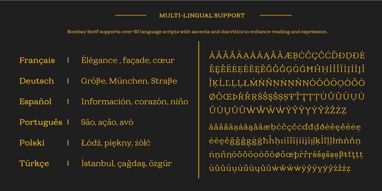 TC Bombay Serif — image 5