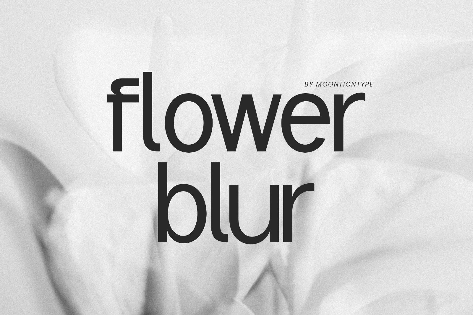 Rangled | Corporate Sans Serif Font — image 6