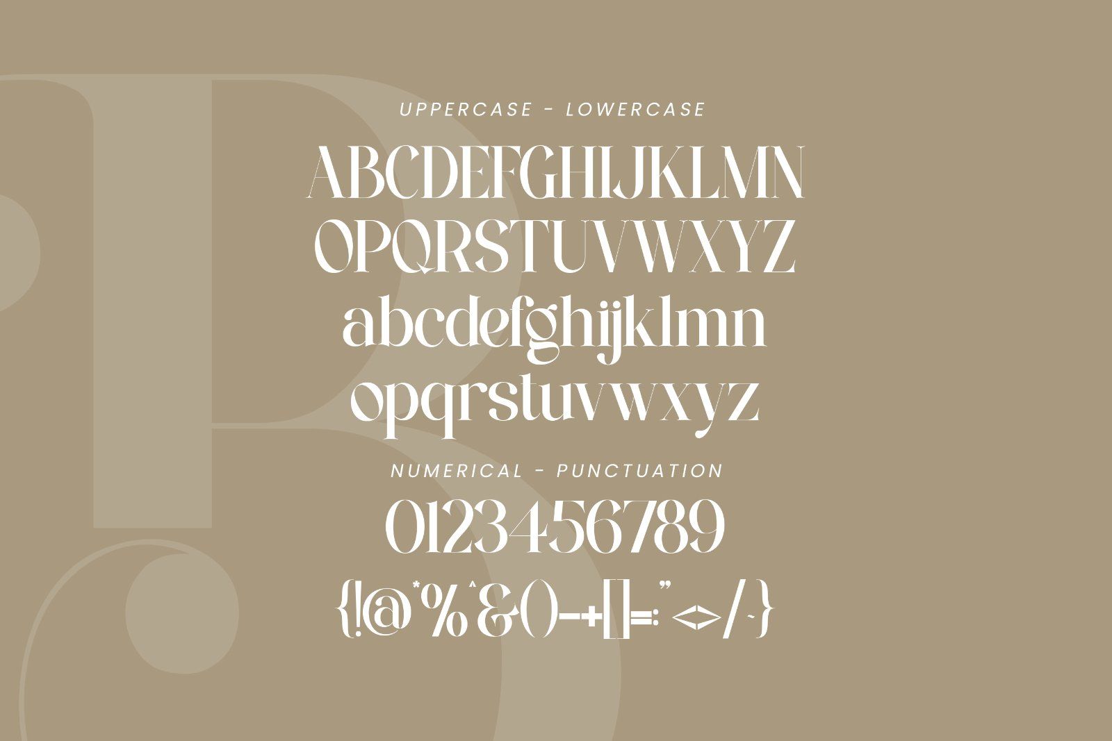 Bilgist | Modern Serif Display Font — image 7