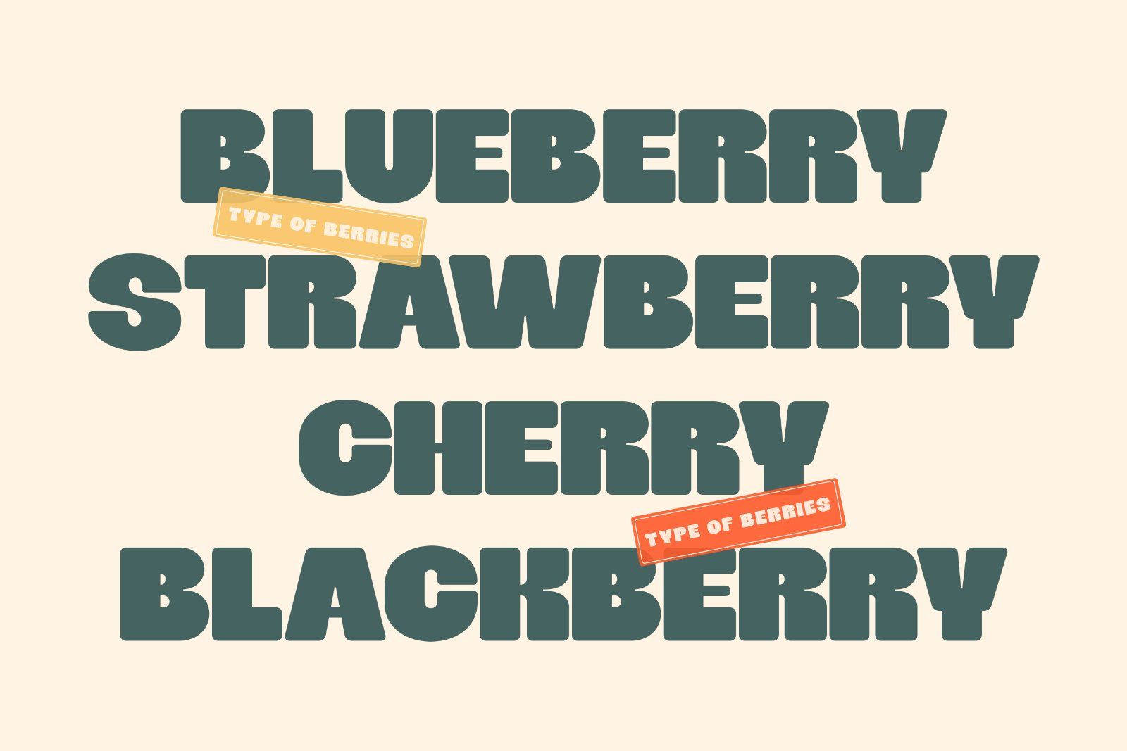 Shagie Boogie | Extra Chunky Bold Display Font — image 6