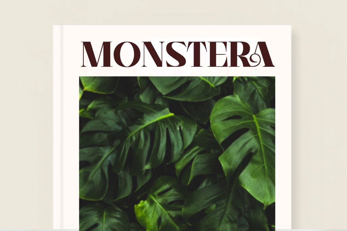 Hottera — image 5