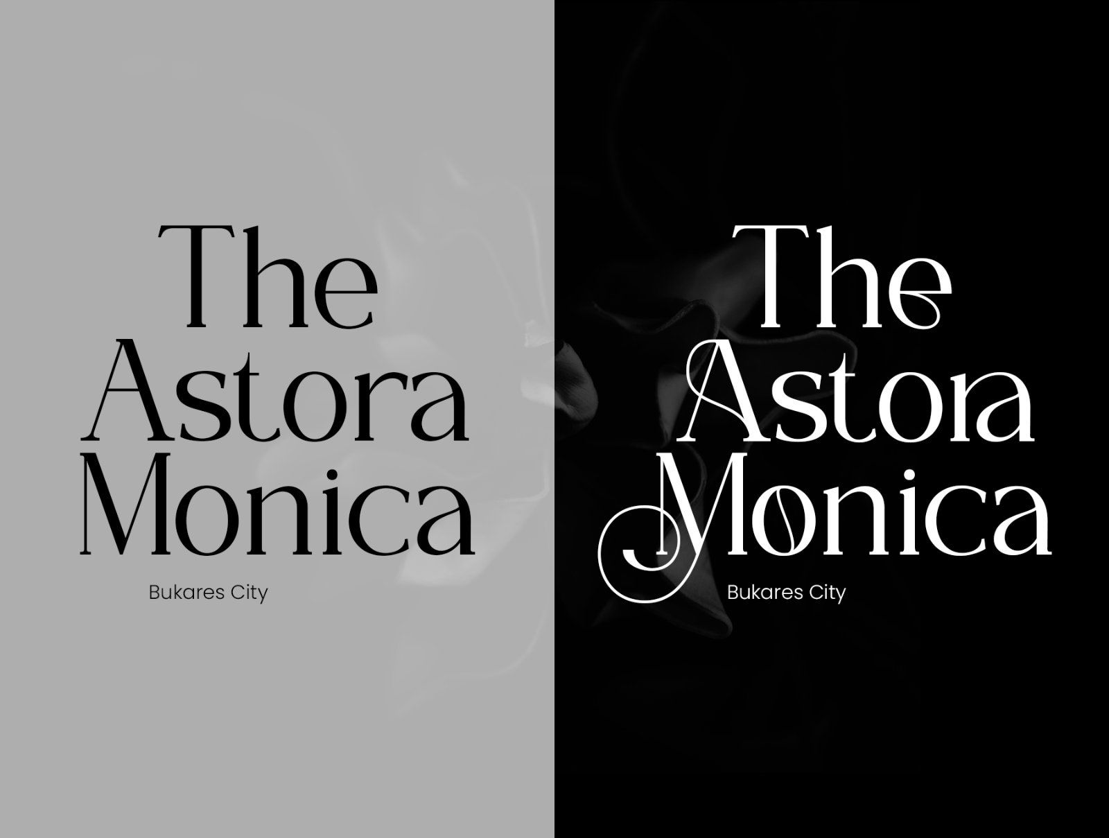 ELOVENA - Elegant Serif Font — image 4