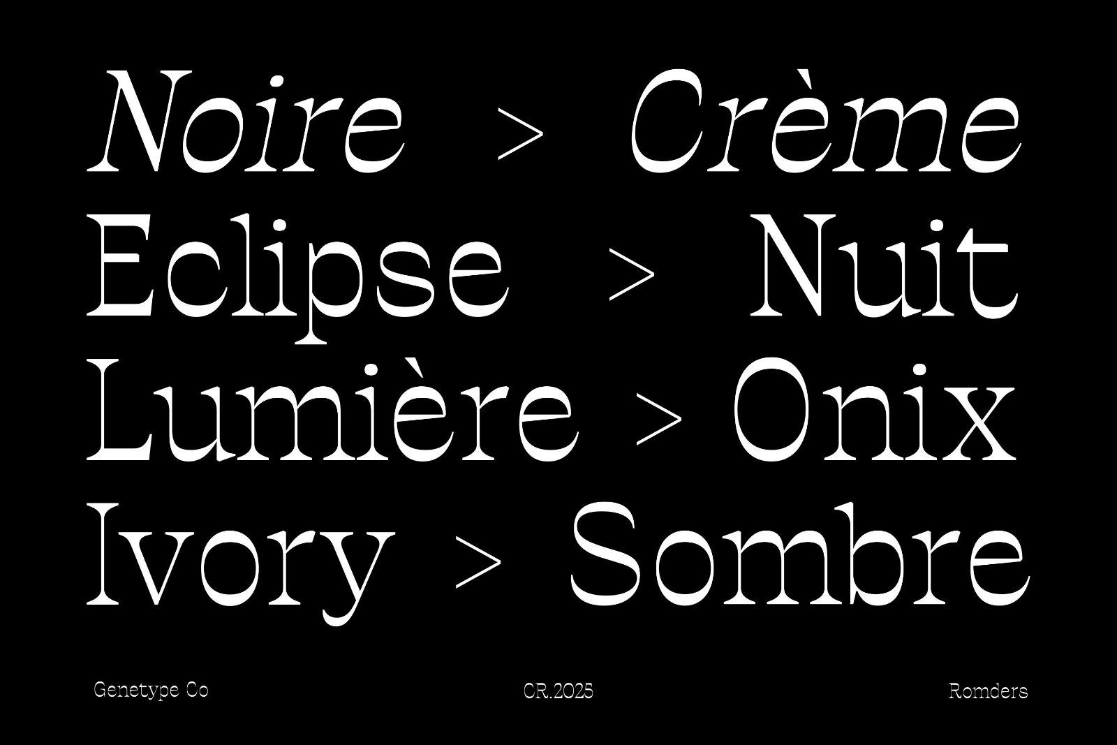 Ronders Reverse Contrast Font — image 5