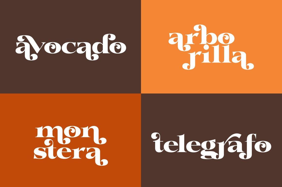 Whodiste Serif — image 5