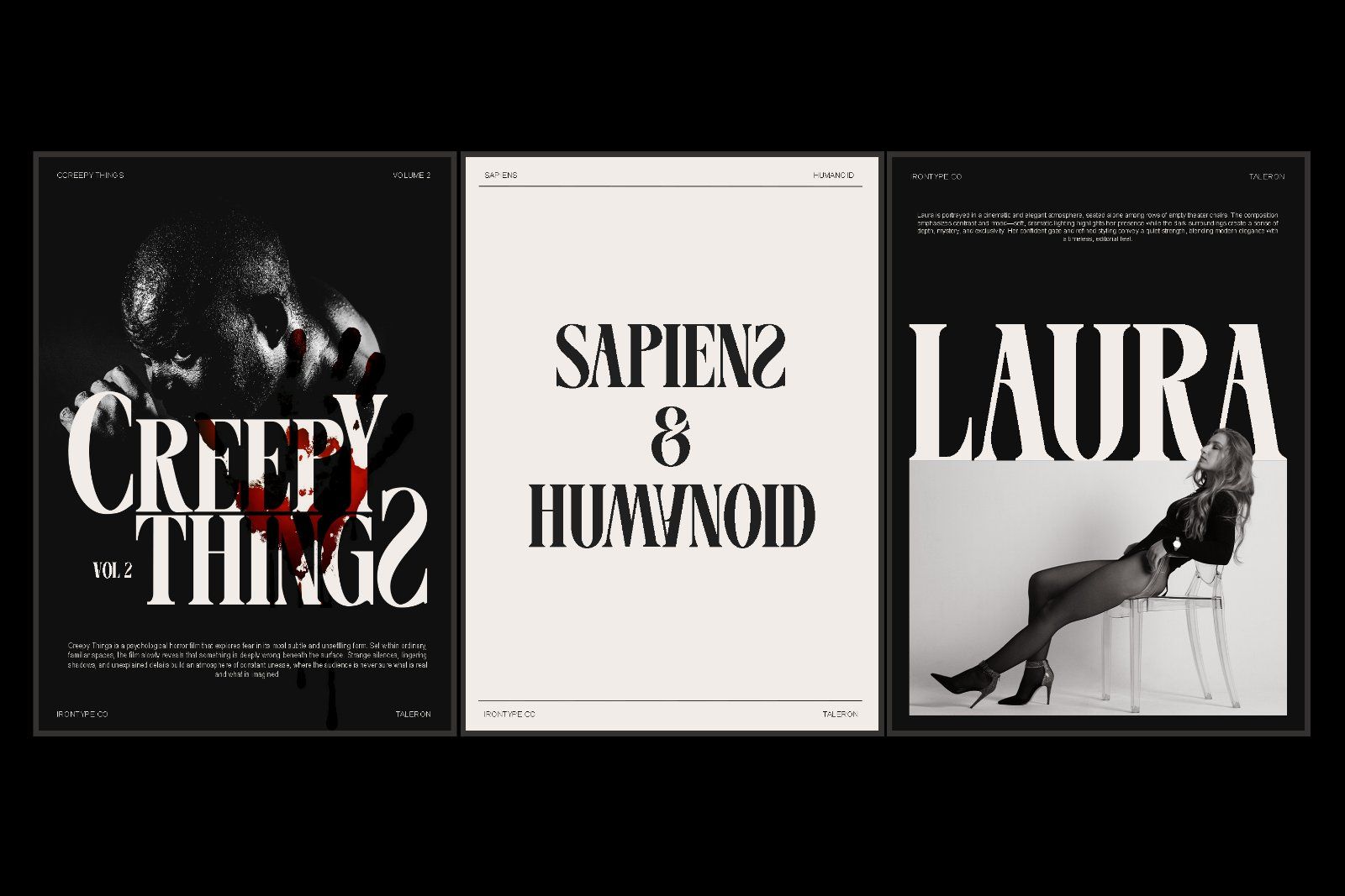 Taleron - Modern Serif — image 12