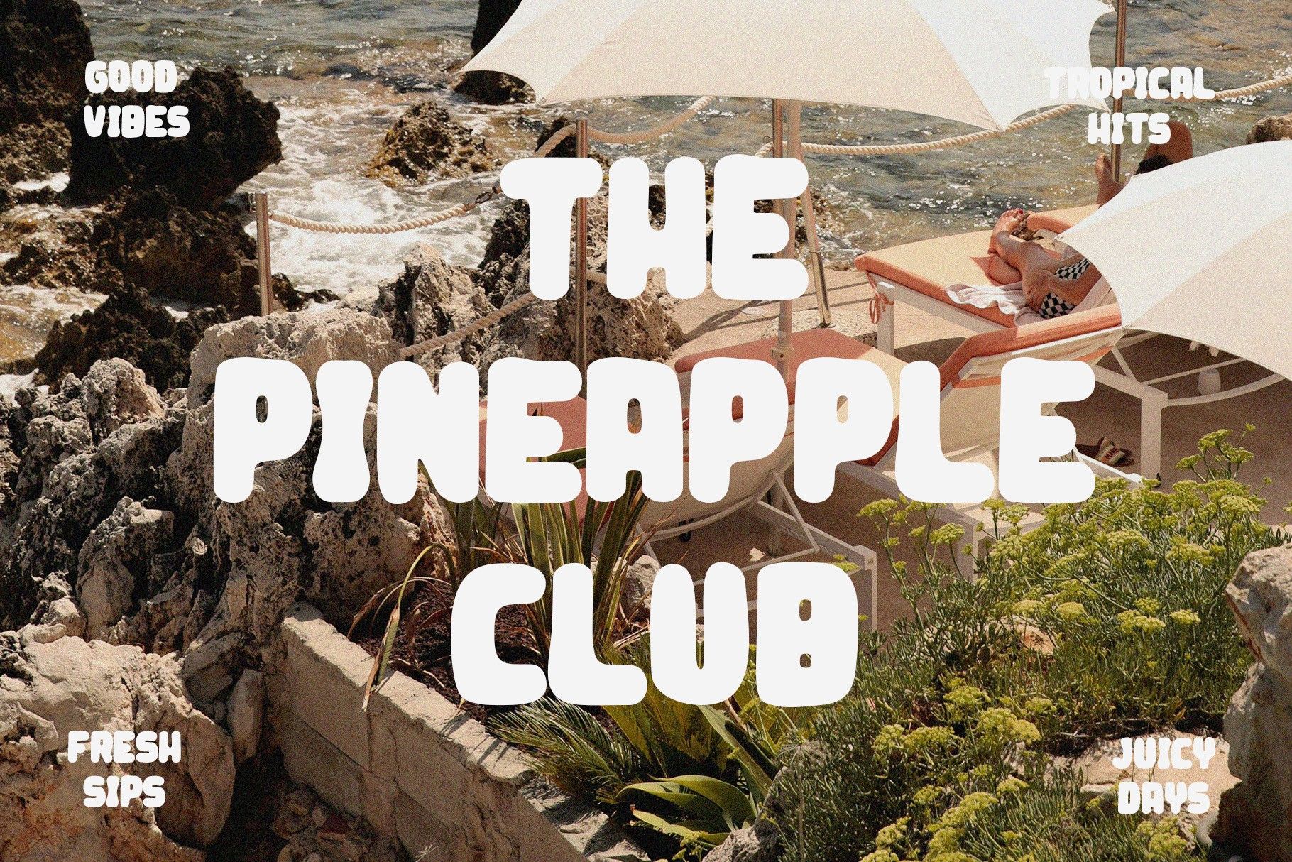 Velmonte | Bold Tropical Typeface — image 6