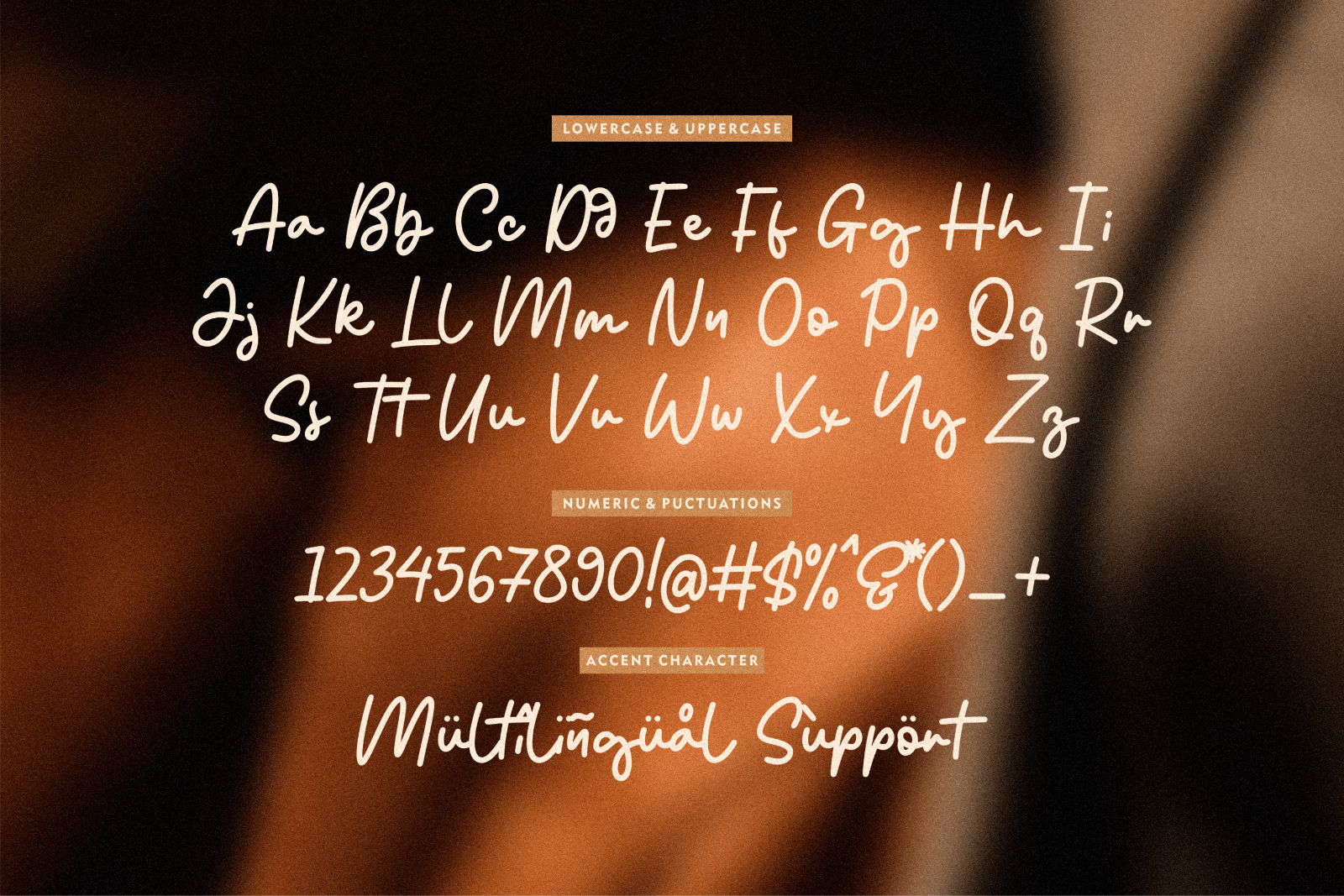 Reileight Winterlane - Monoline Script Font — image 5
