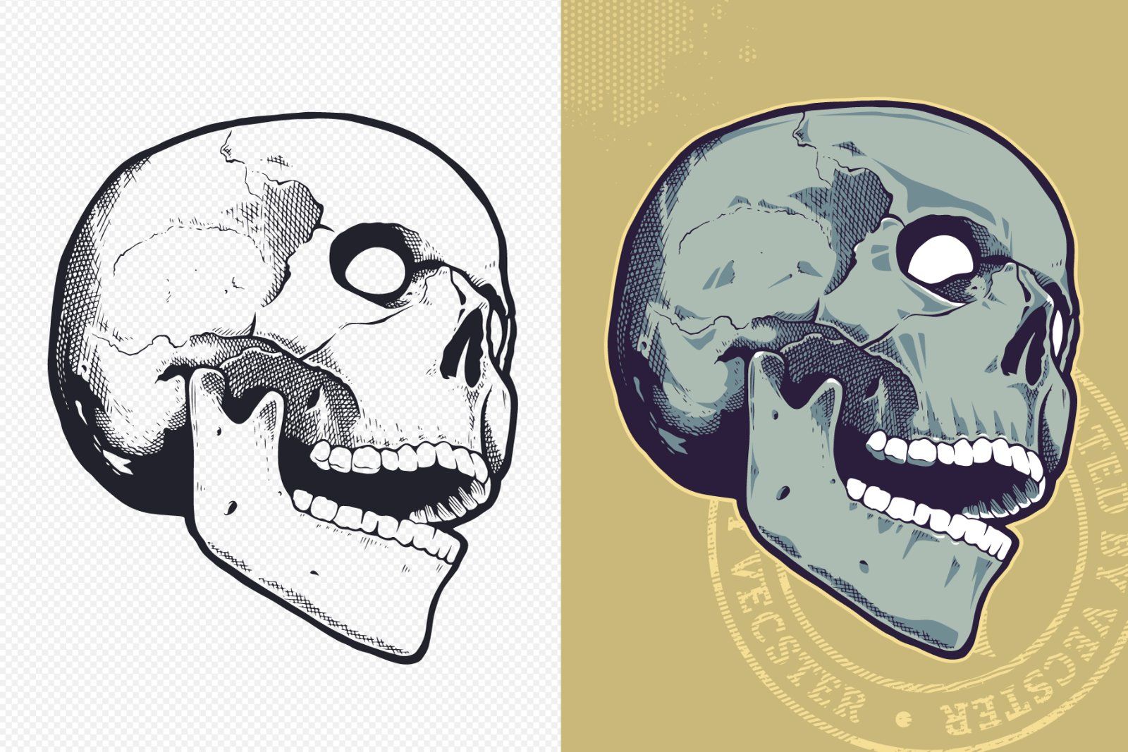Vintage Vector Skulls Pack — image 5