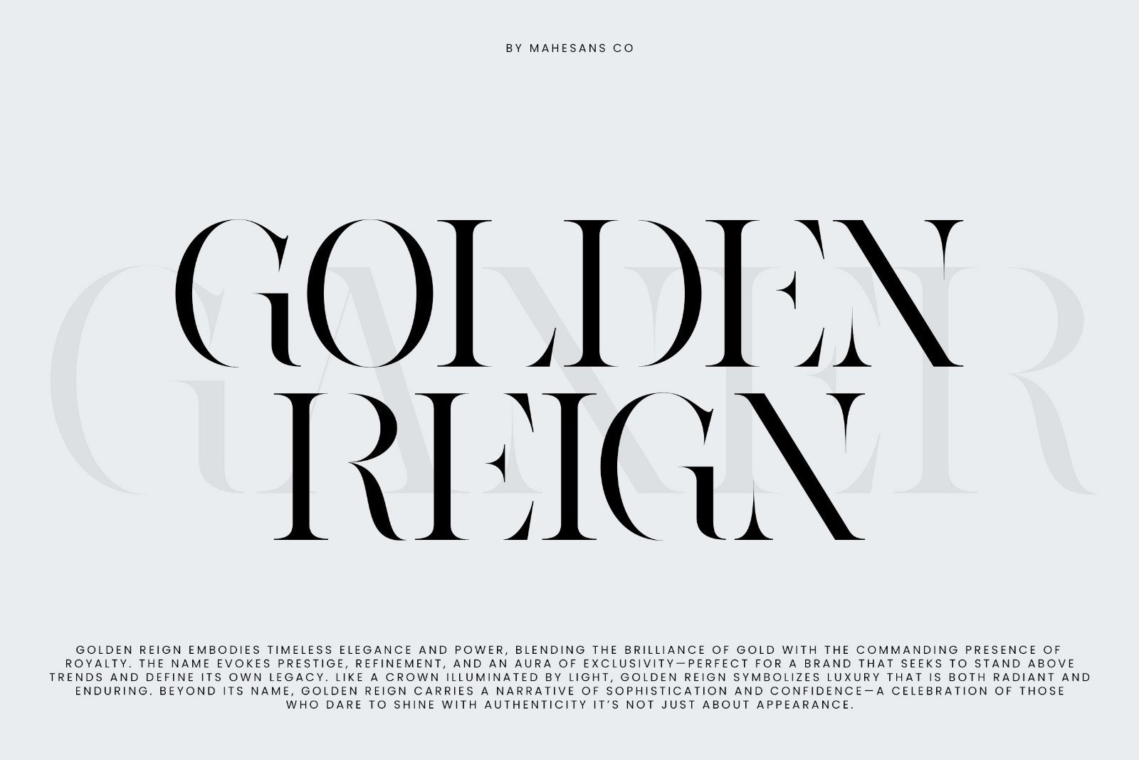 Ganer | Serif Display Font — image 5