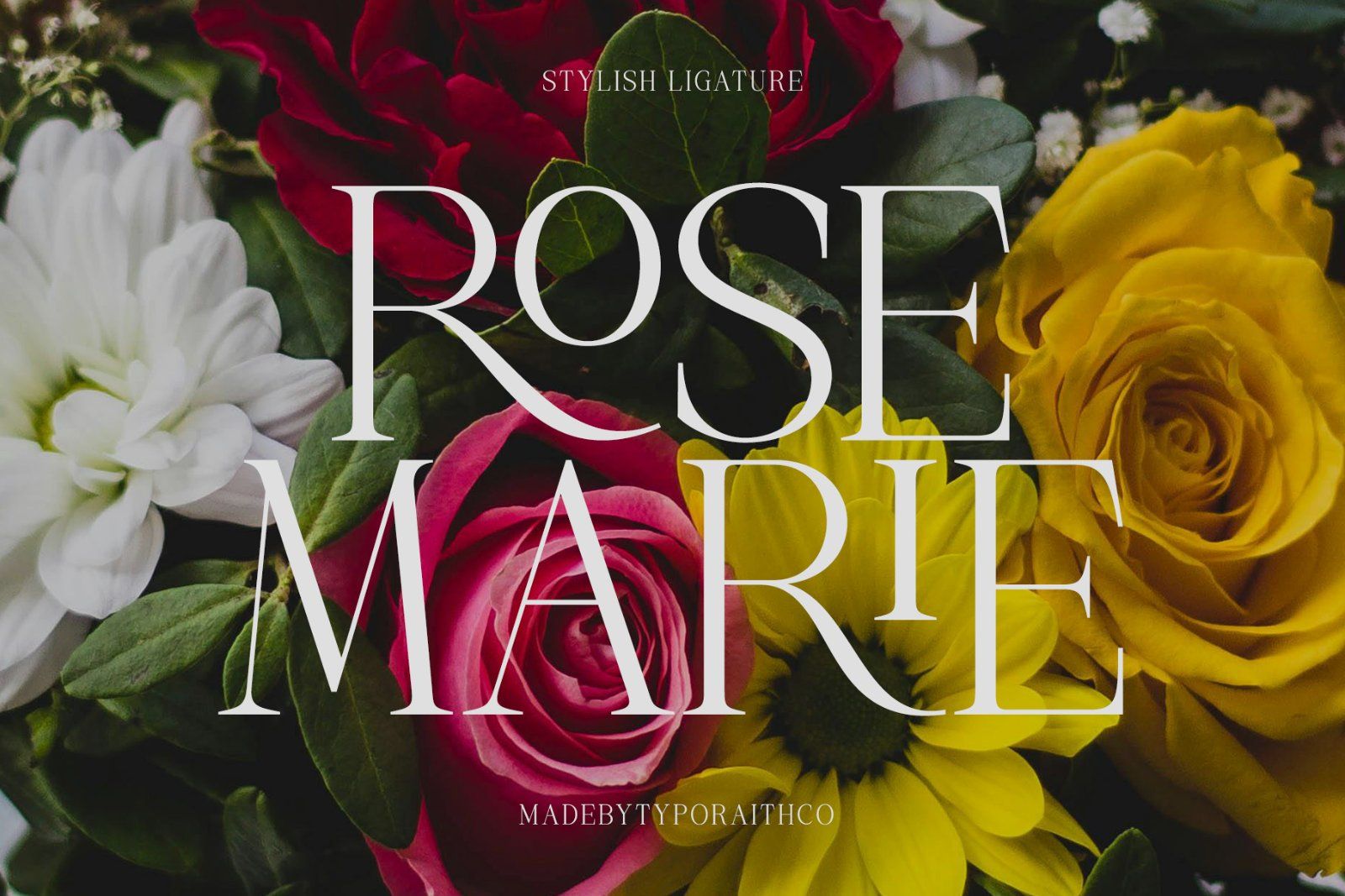 Mogerin | Modern Display Serif — image 5
