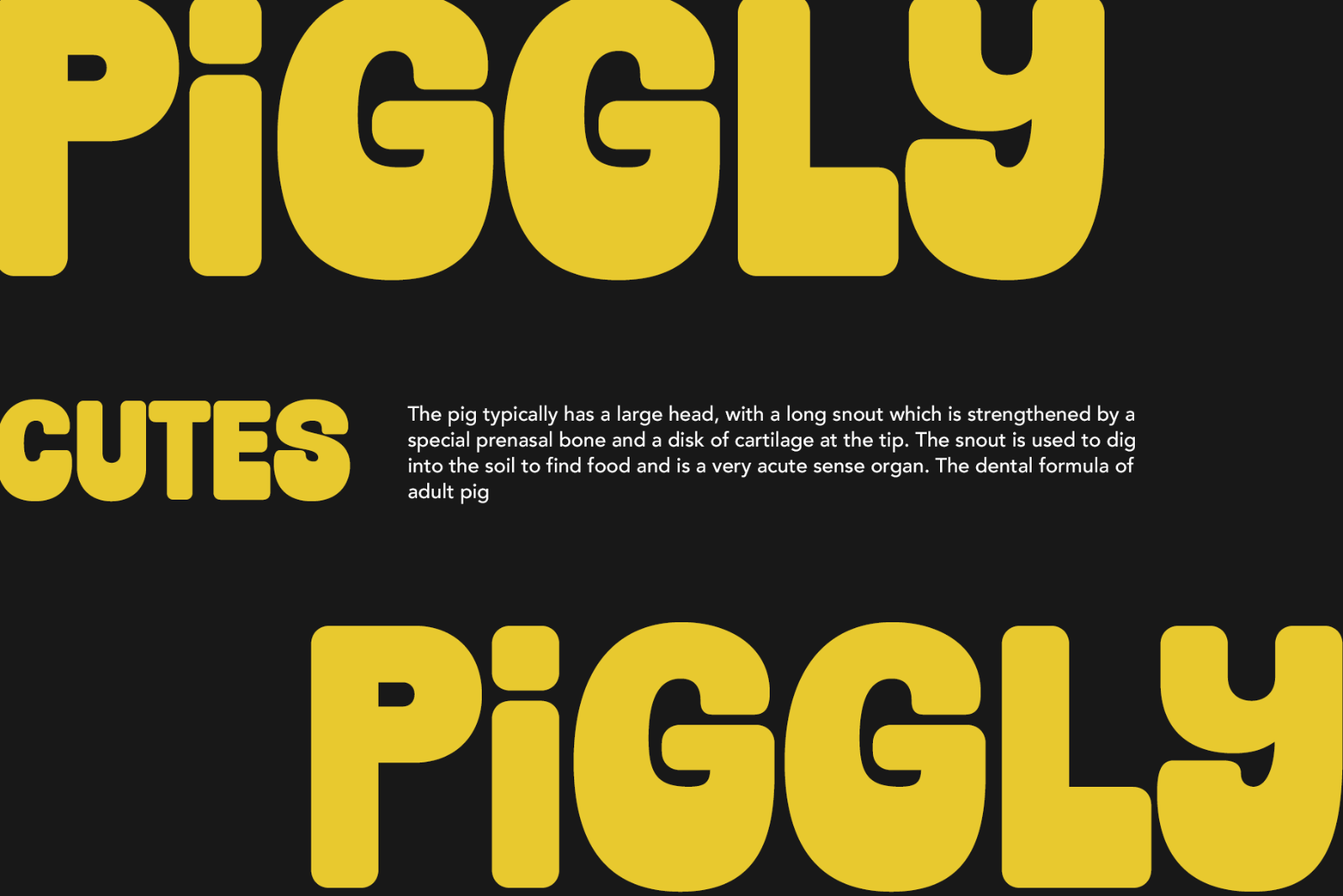Jt Gilboys | Display Font — image 6