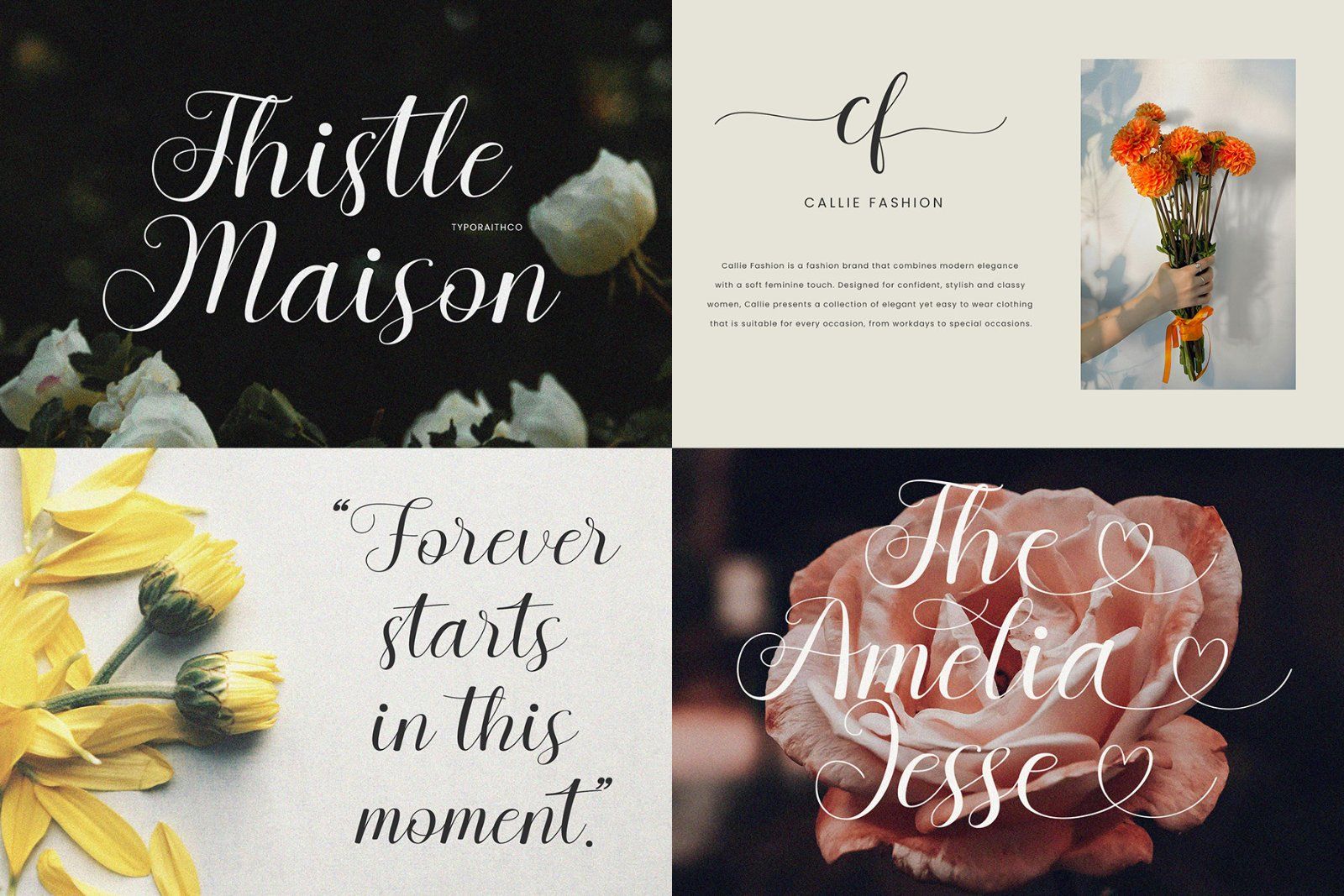Modern Serif & Script Font Bundle — image 9