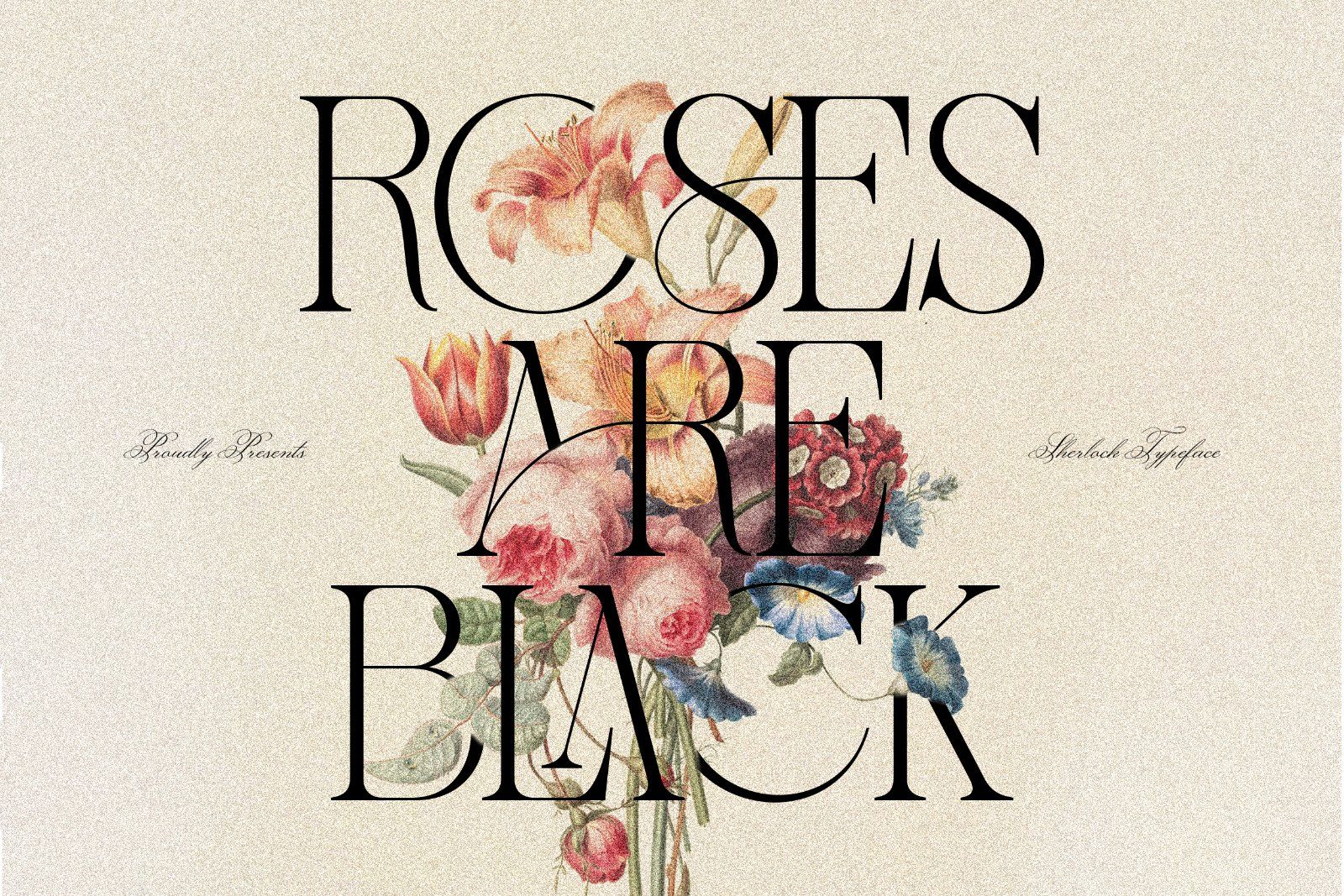 Headline Serif Font Bundle — image 5
