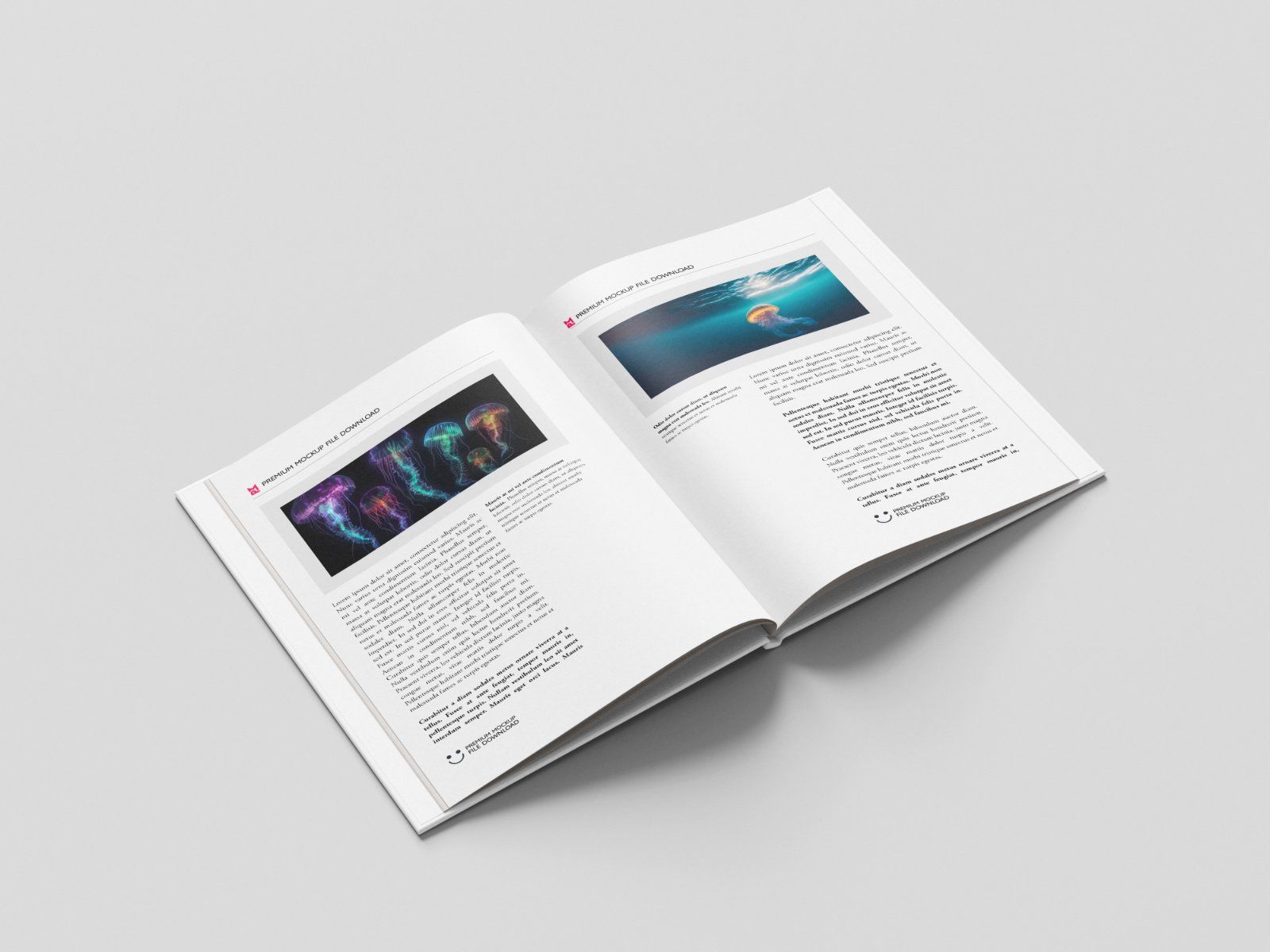 Minimal book mockup — image 5
