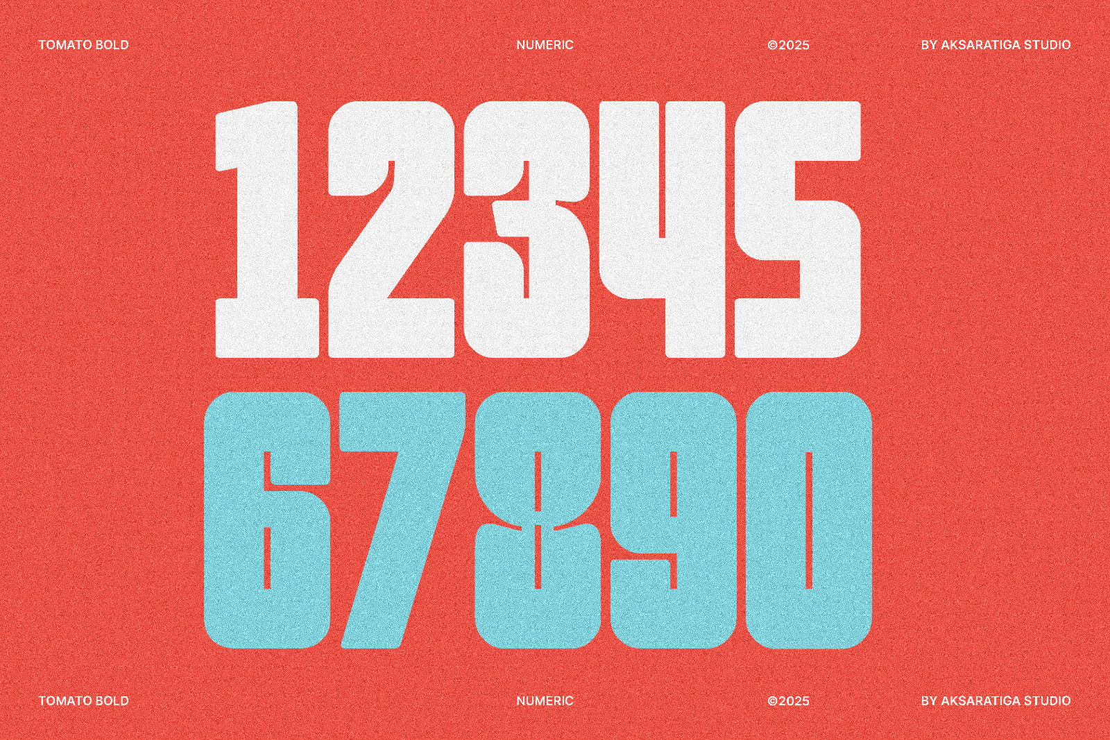 Tomato Bold — image 5