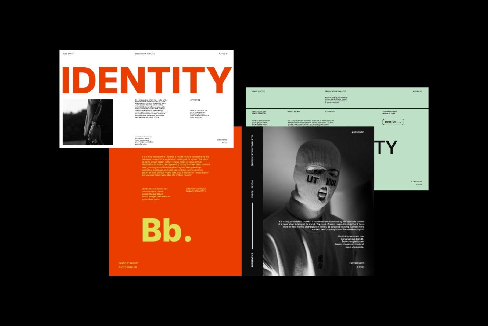 Holland - Brand Identity Google Slides — image 6