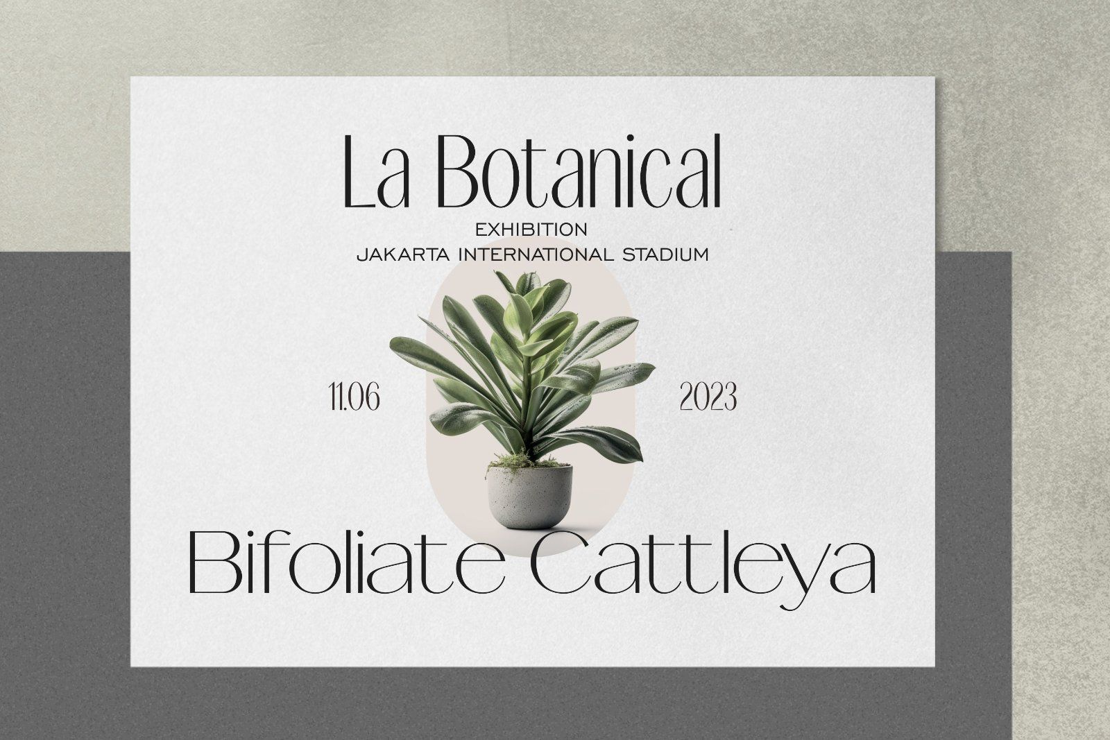 Signora Typeface — image 5