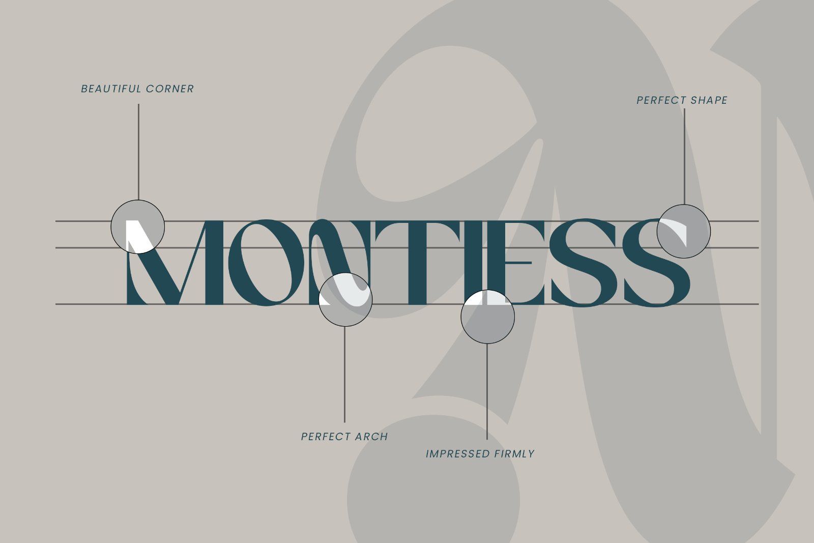 Megante | Elegant Sans Serif Font with Alternates — image 9