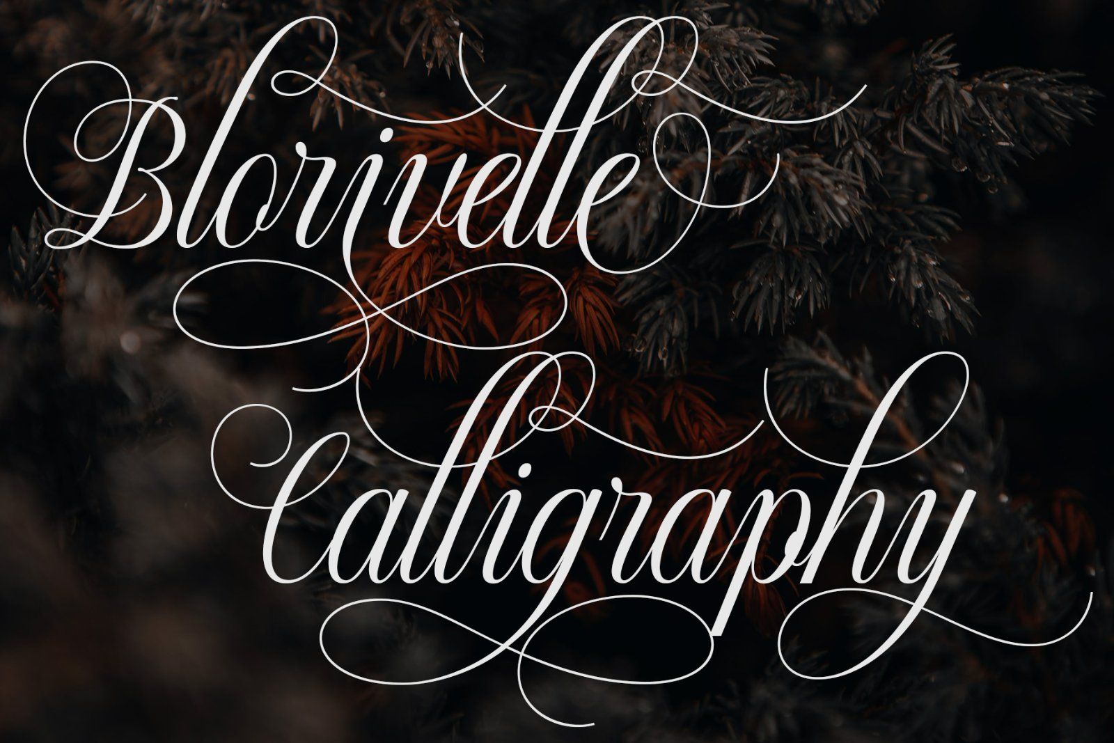 Blorivelle | Elegant Calligraphy Script — image 6
