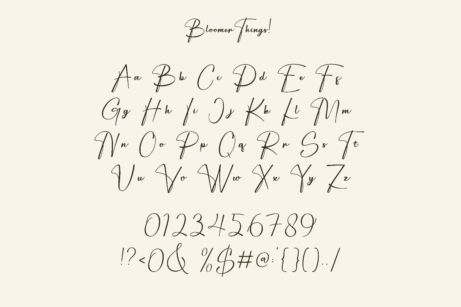 Bloomer Things | Elegant Script Font — image 5