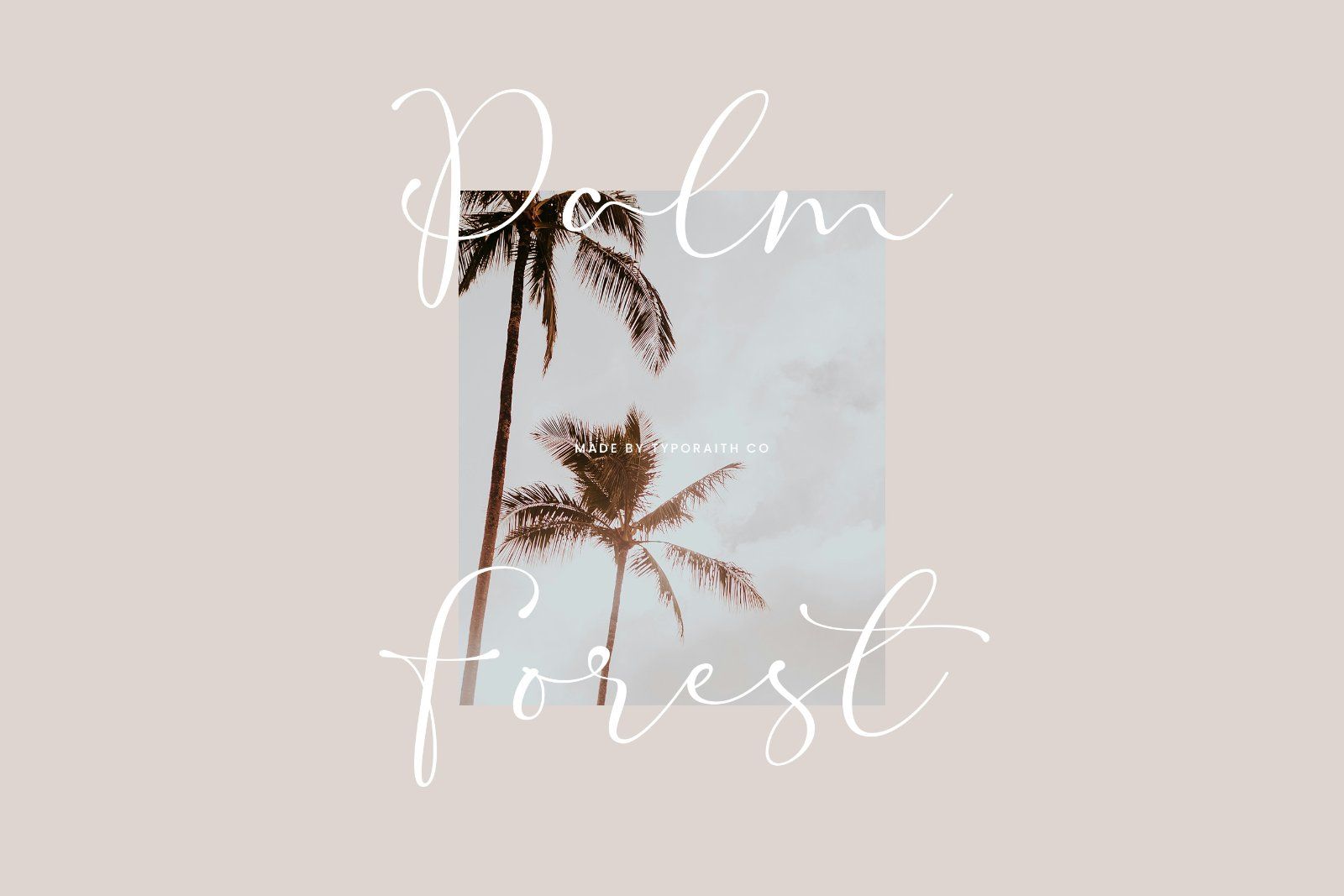 Raissa | Elegant Script Font — image 5