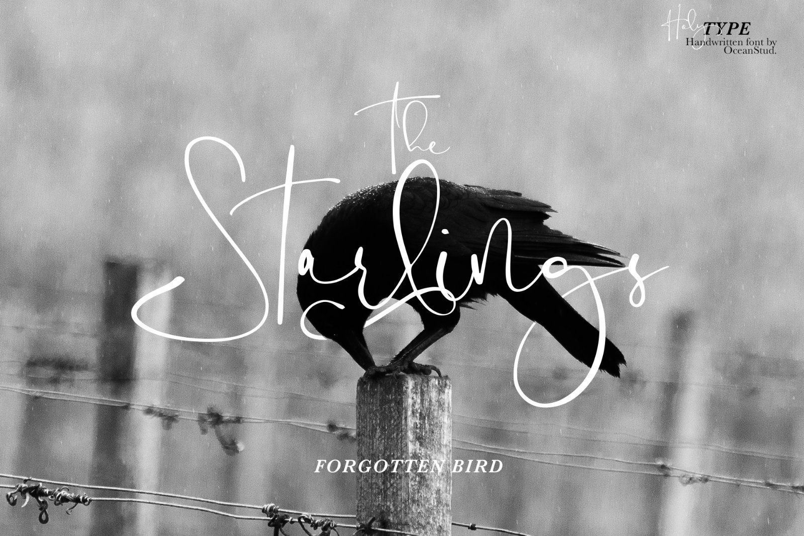 Holy Type | Handwritten Font — image 5