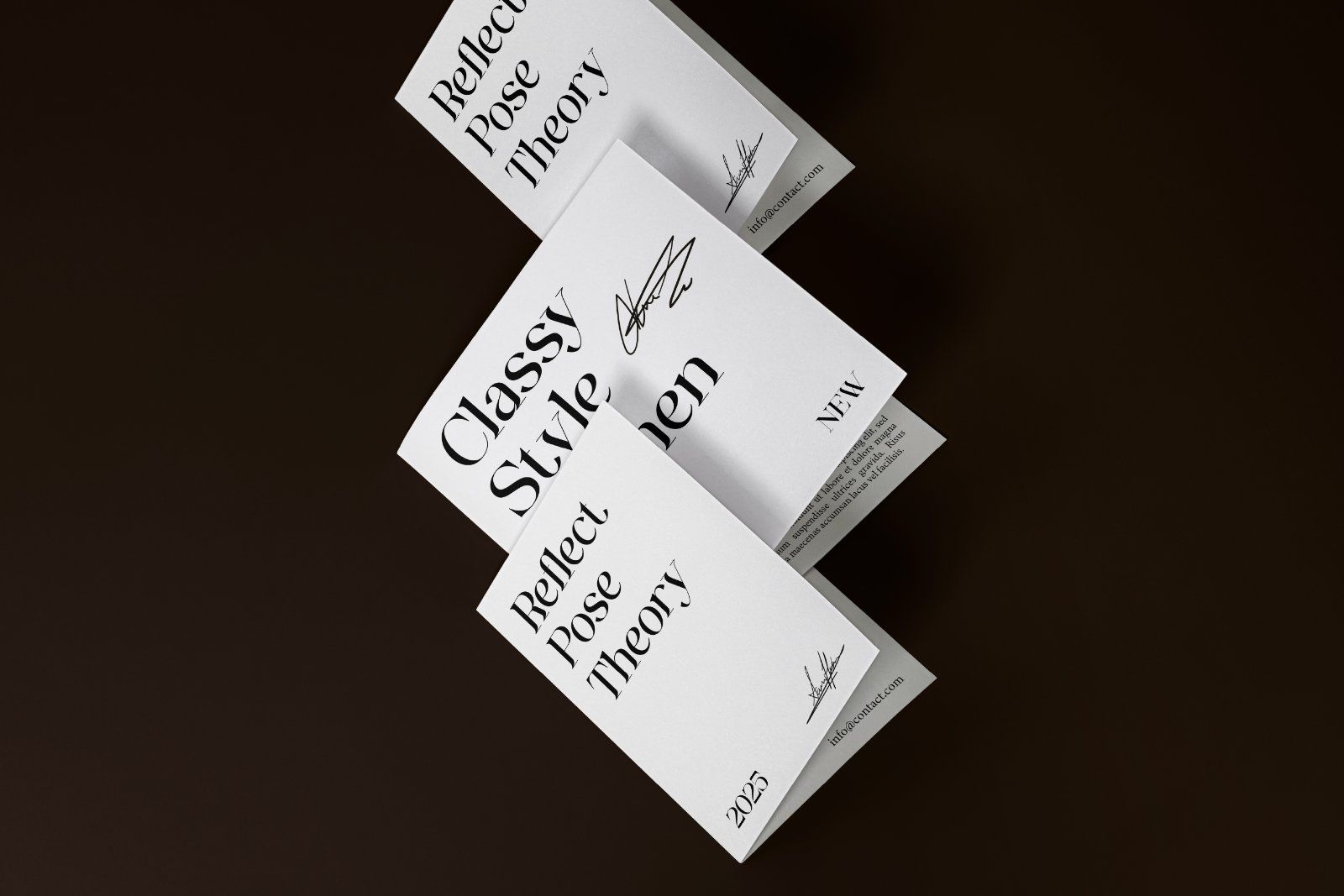 Ginka Voraxe – Modern Stylish Serif — image 5