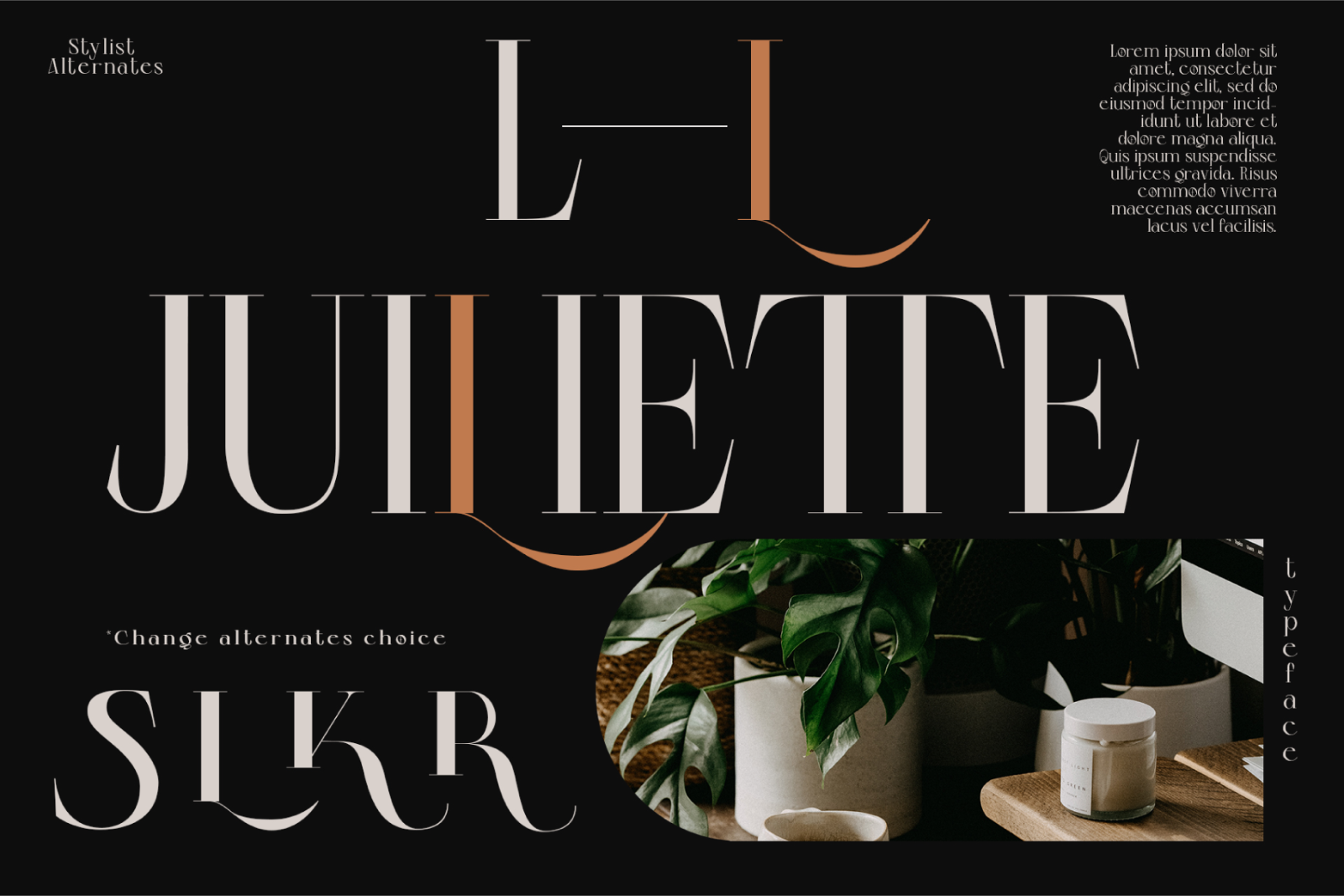 Colibre Bristole Pro | Serif Font — image 5