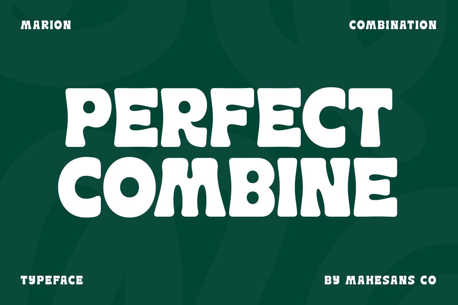 Marion - Display Combination Font — image 5