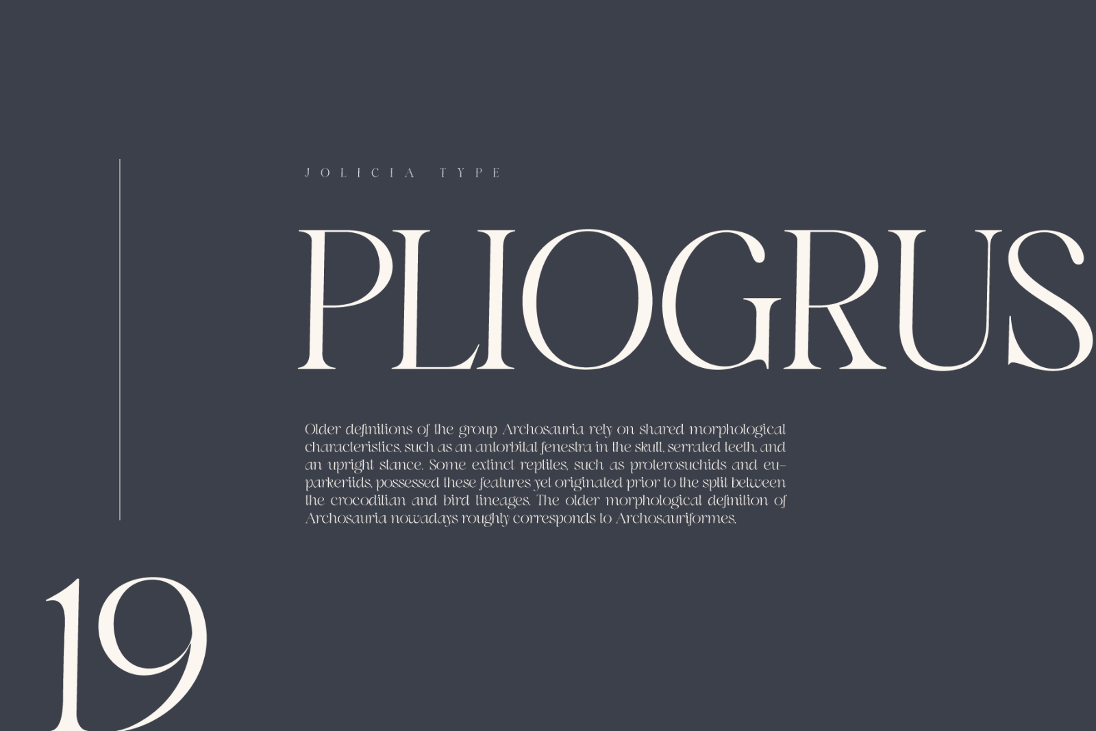 Swily Bright | Classy Font — image 7