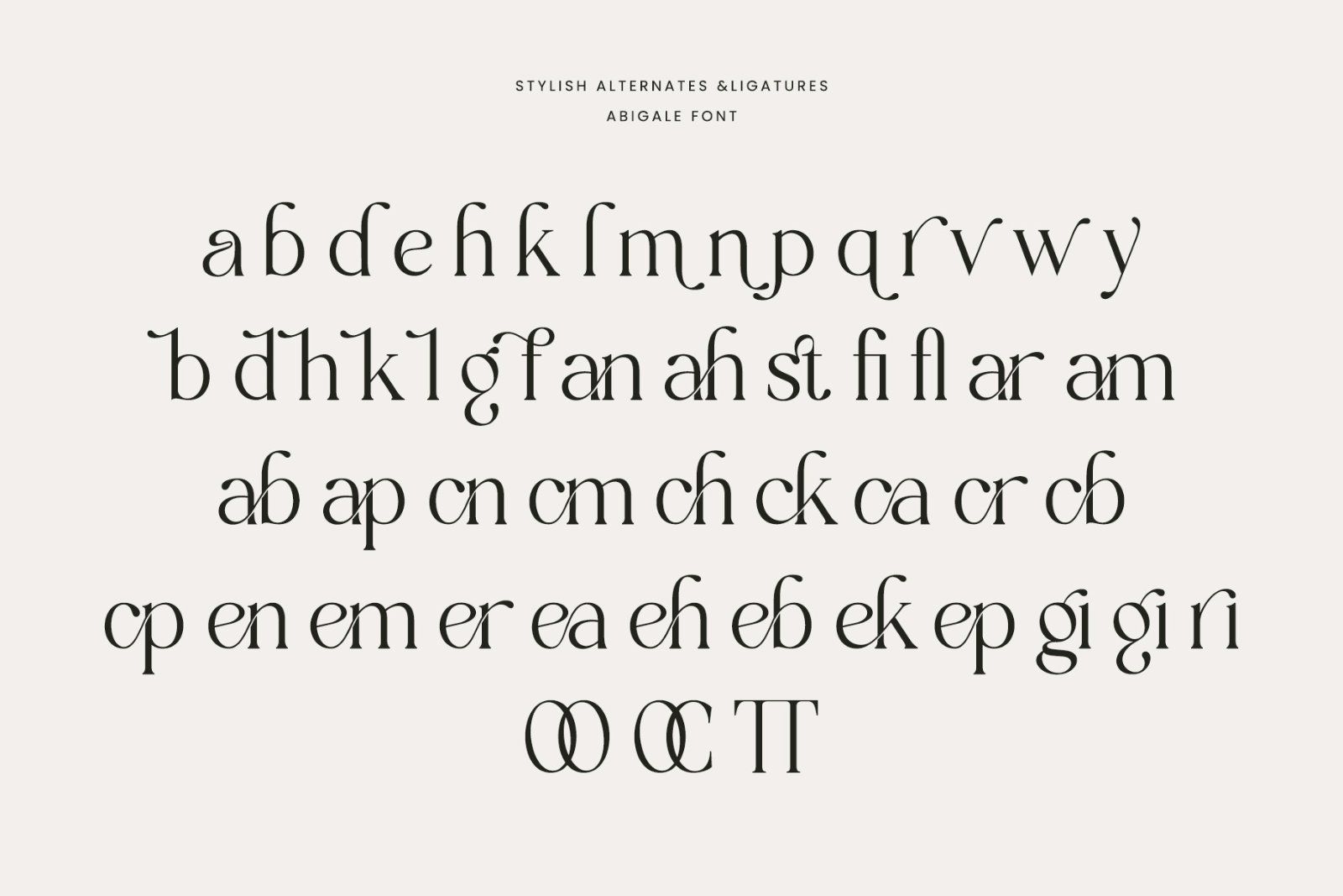Abigale | Modern Serif Font — image 12