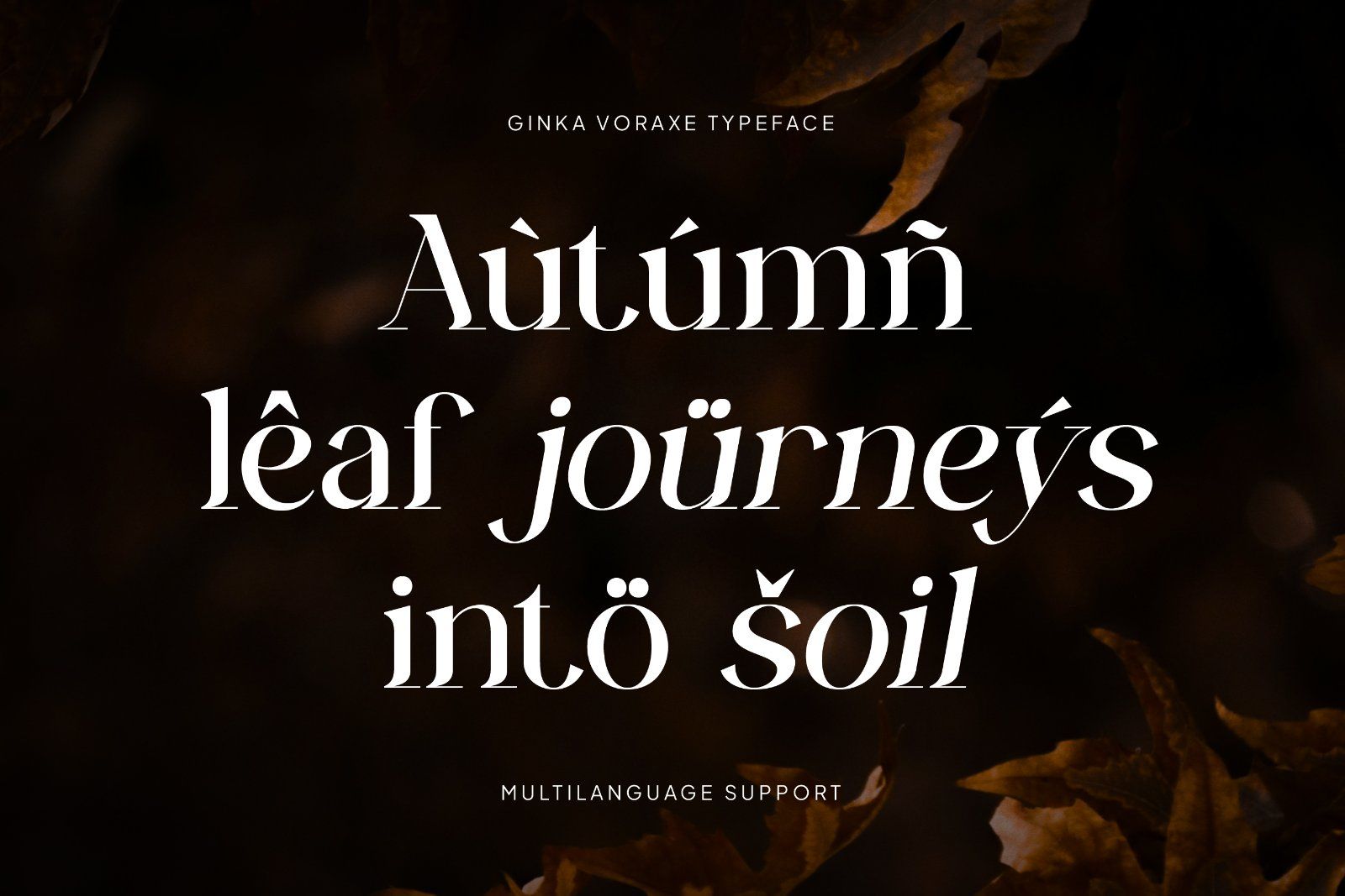 Ginka Voraxe – Modern Stylish Serif — image 6