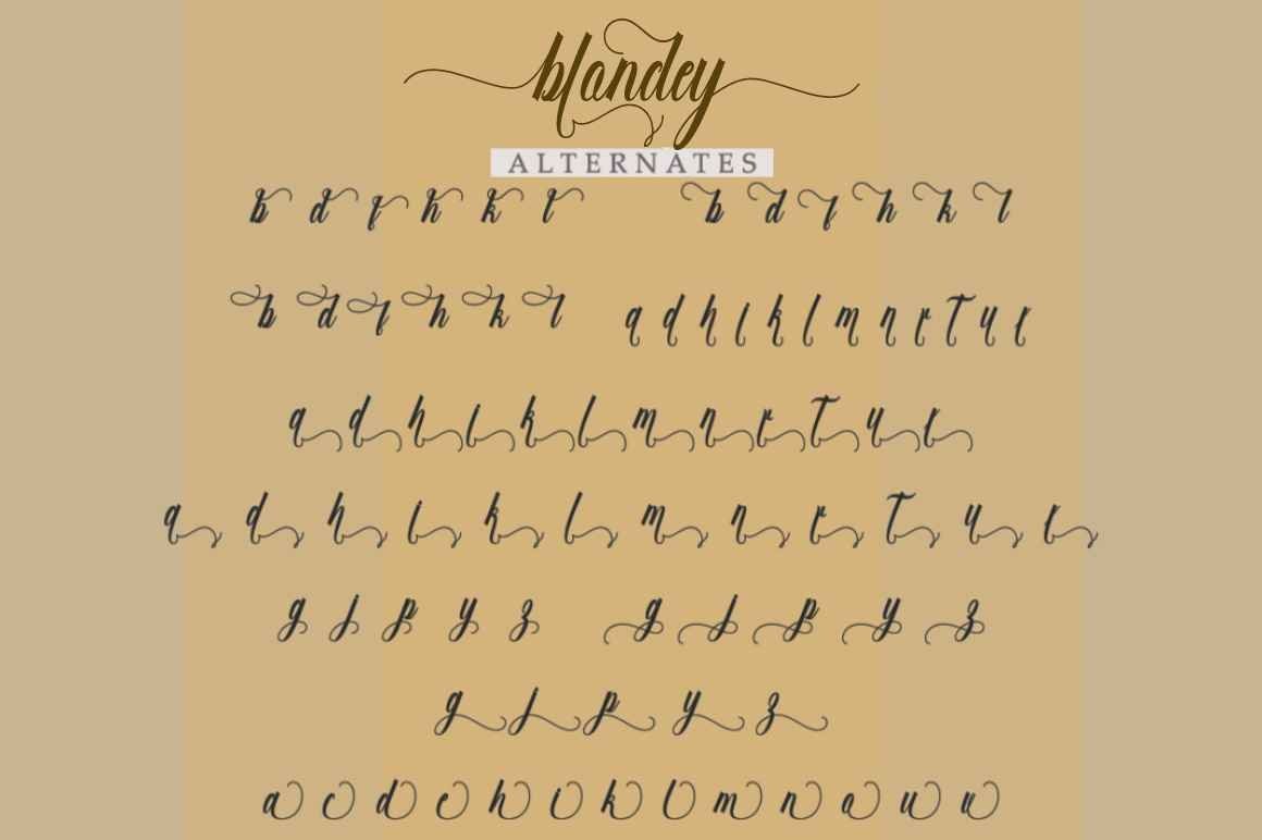 Blondey Script — image 6